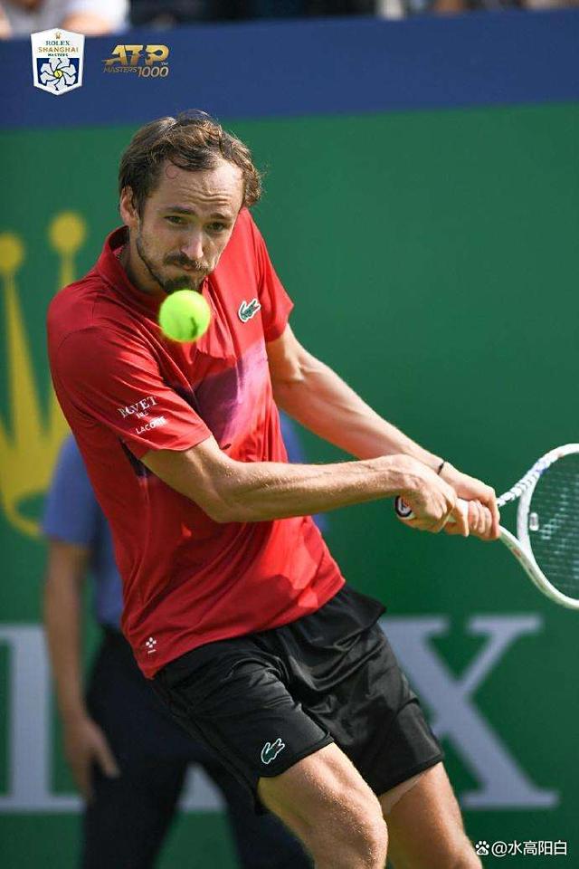 戴维斯杯轻取年终总决赛，梅德韦杰夫关键制胜的简单介绍